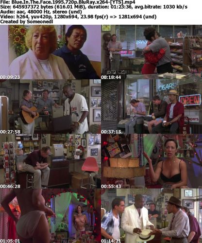 Blue In The Face 1995 720p BluRay x264-YTS