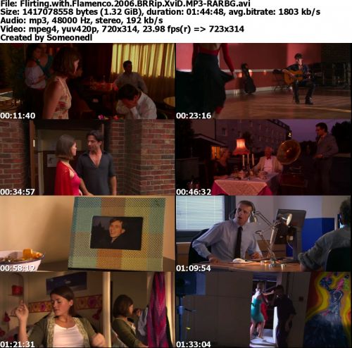 Flirting with Flamenco 2006 BRRip XviD MP3-RARBG