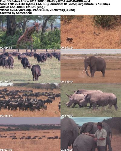 3D Safari Africa 2011 1080p BluRay H264 AAC-RARBG
