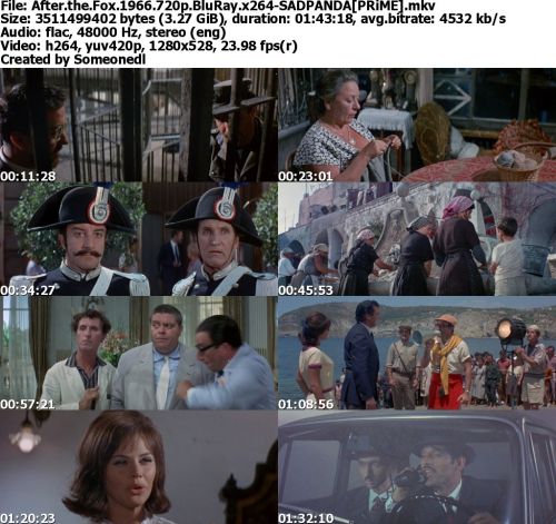 After the Fox 1966 720p BluRay x264-SADPANDA