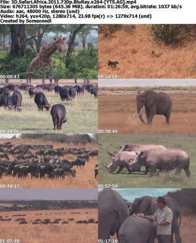 3D Safari Africa 2011 720p BluRay x264-YTS