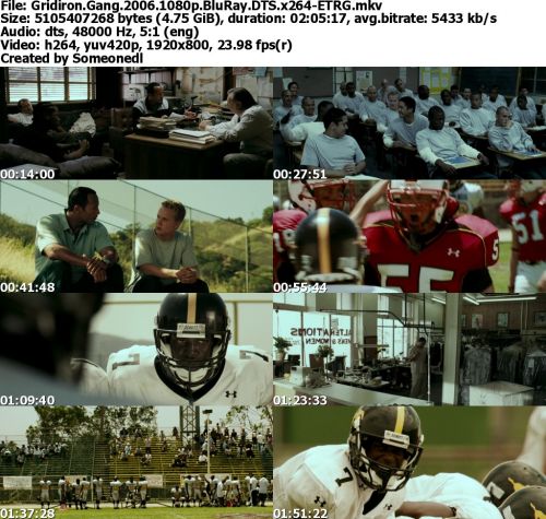 Gridiron Gang 2006 1080p BluRay DTS x264-ETRG