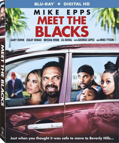 Meet the Blacks 2016 1080p BluRay H264 AAC-RARBG