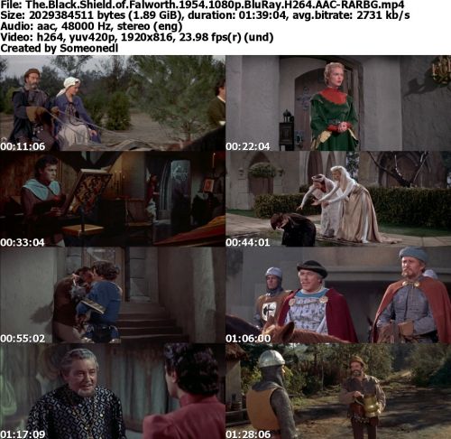The Black Shield of Falworth 1954 1080p BluRay H264 AAC-RARBG