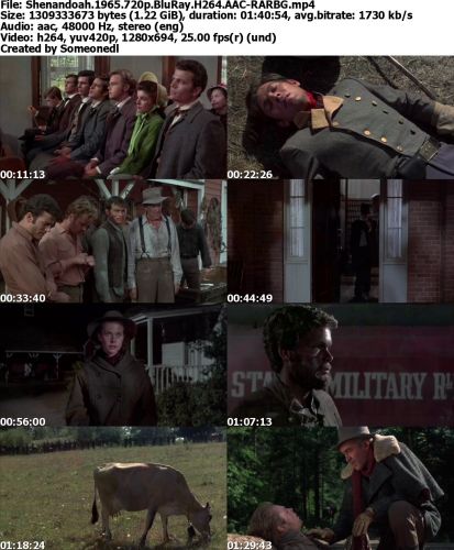 Shenandoah 1965 720p BluRay H264 AAC-RARBG