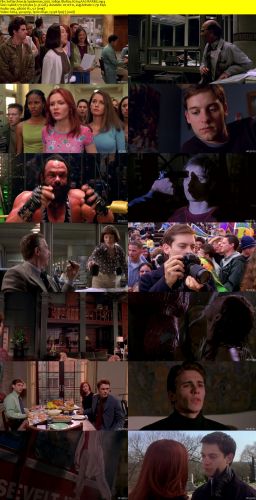 Spiderman 2002 1080p BluRay H264 AAC-RARBG