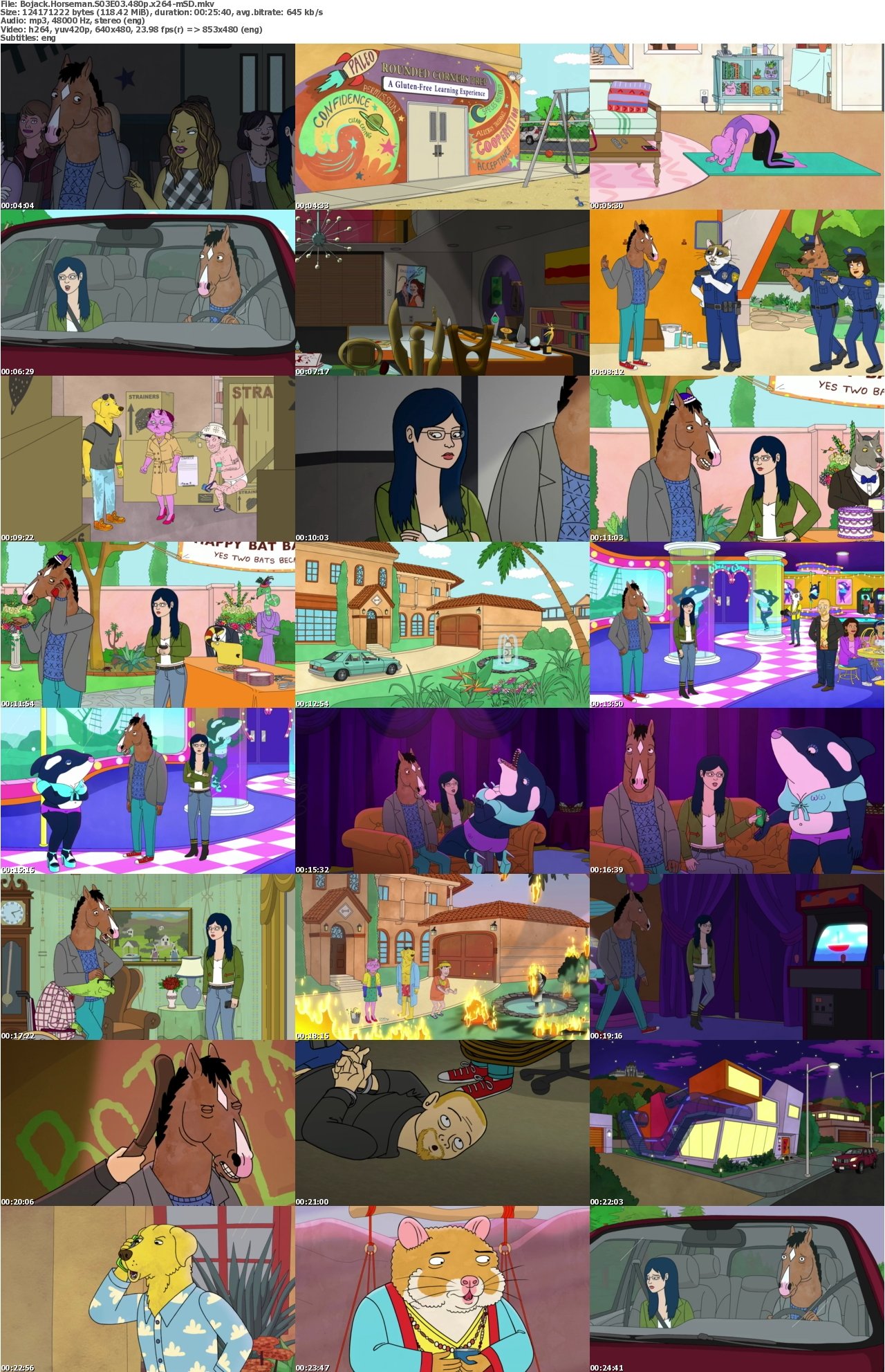 Bojack Horseman S03E03 480p x264-mSD