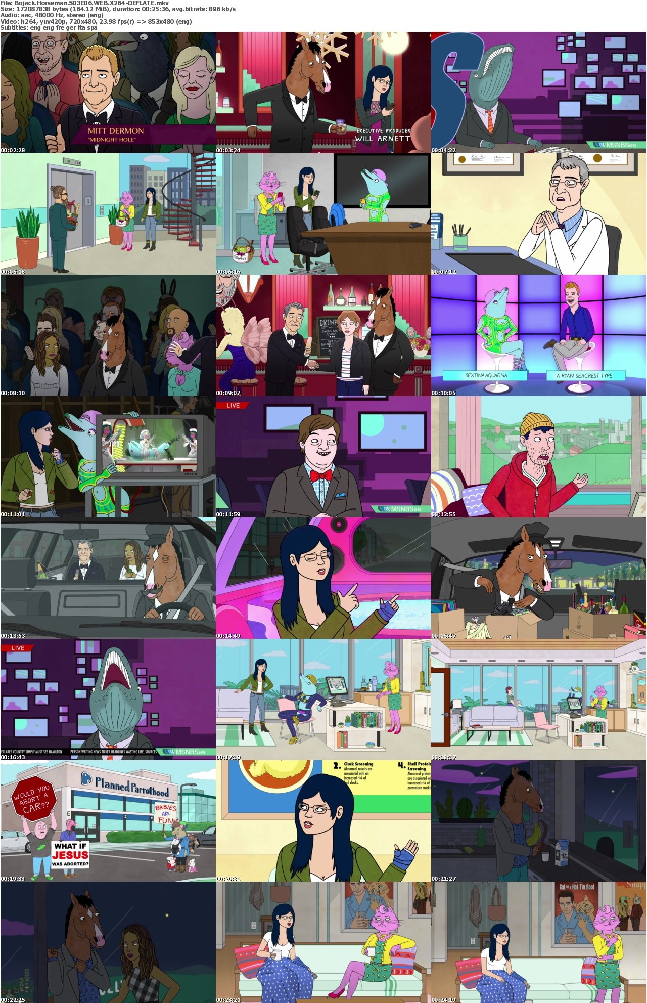 Bojack Horseman S03E06 WEB X264-DEFLATE
