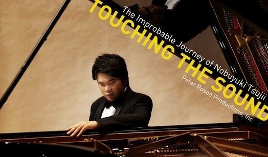 Touching the Sound - The Improbable Journey of Nobuyuki Tsujii (2015) 720p WEB h264-OmarMateen