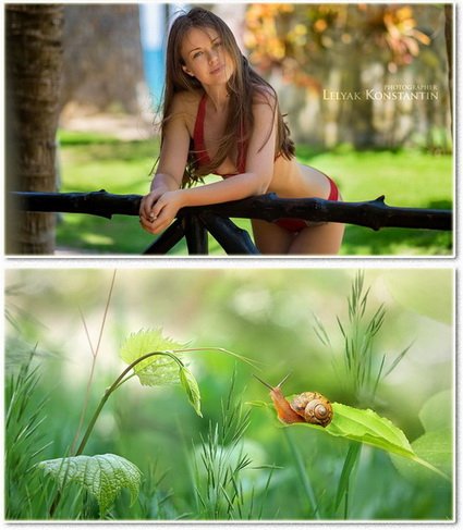 Wallpapers on a desktop 957