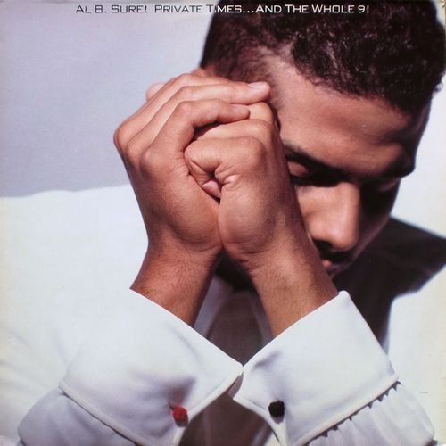 Al B. Sure! - Private Times...And The Whole 9! (1990)