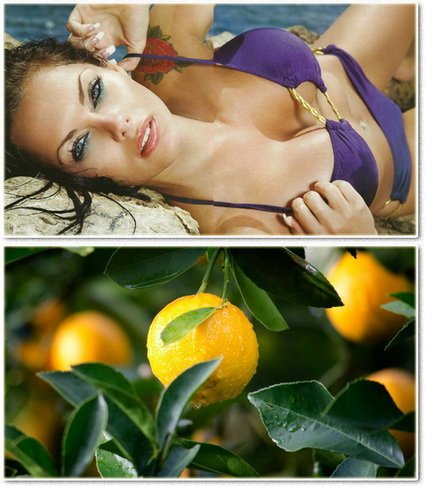 Wallpapers on a desktop 963
