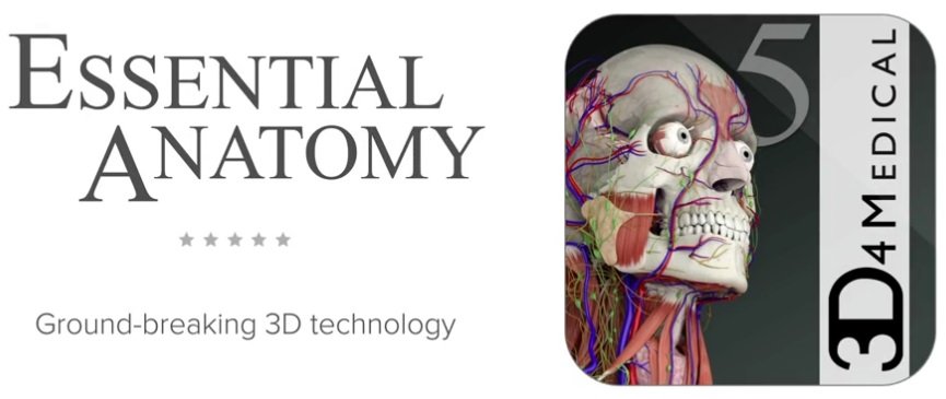 Essential Anatomy 5 5.0 download free