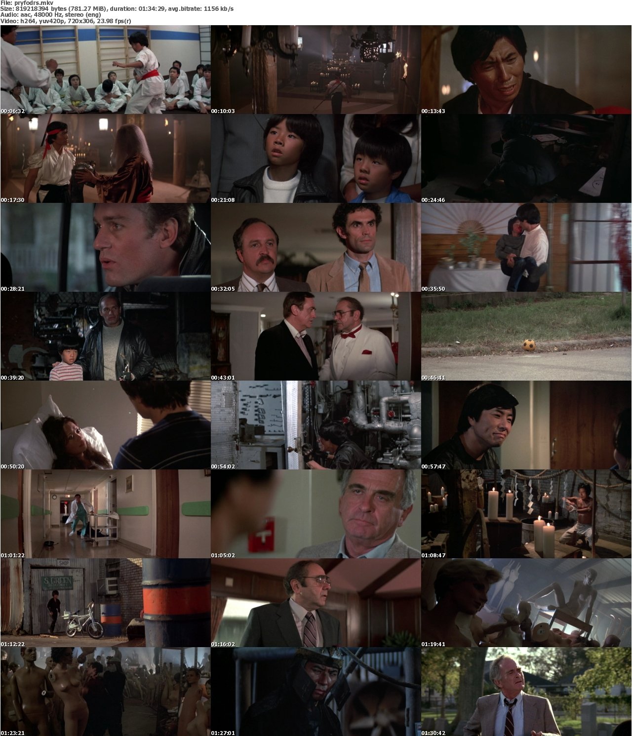 Pray for Death 1985 RATED WS BDRiP x264-RAiNDEER