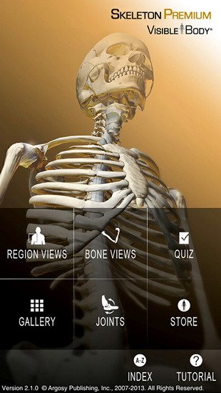 Skeleton Premium v2.4.12