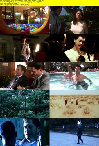 Traffic 2000 iNTERNAL 1080p BluRay H264 AAC-RARBG