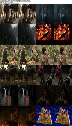The Jungle Book 2016 3D 1080p BluRay x264-PSYCHD
