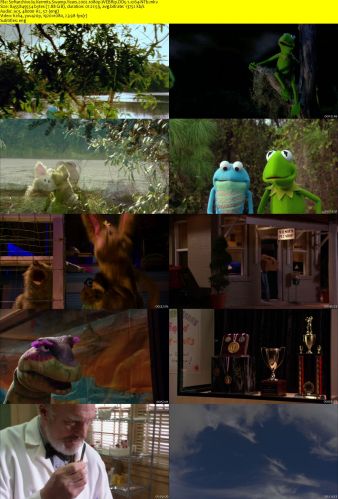 Kermits Swamp Years 2002 1080p WEBRip DD5.1 x264-NTb
