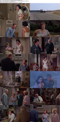 Cat on a Hot Tin Roof 1958 BRRip XviD MP3-RARBG