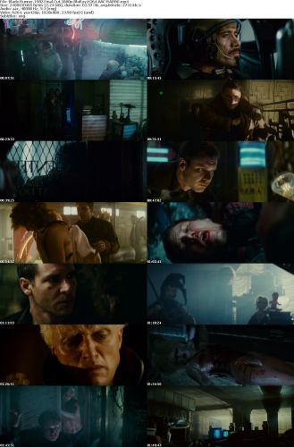 Blade Runner 1982 Final Cut 1080p BluRay H264 AAC-RARBG