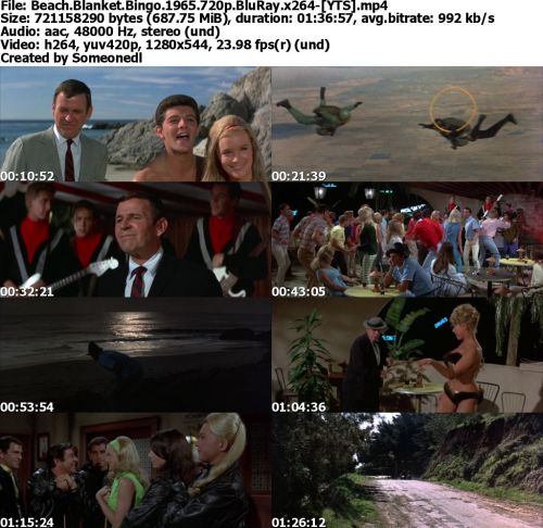 Beach Blanket Bingo 1965 720p BluRay x264-YTS