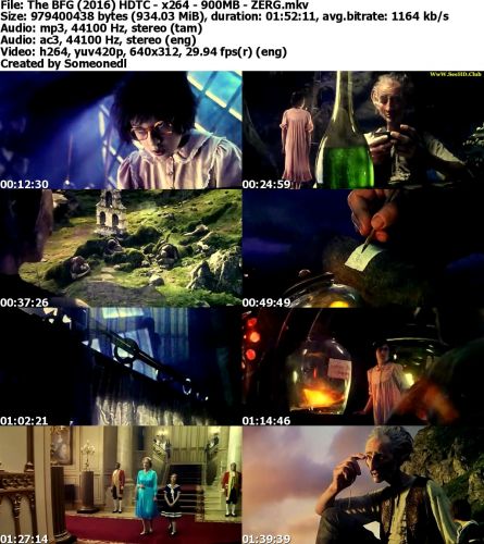 The BFG (2016) HDTC x264 900MB - ZERG