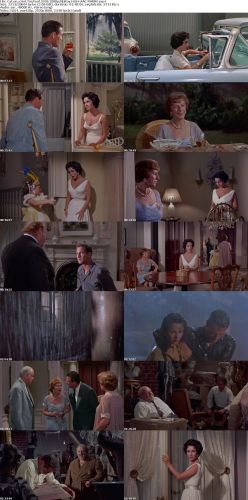 Cat on a Hot Tin Roof 1958 1080p BluRay H264 AAC-RARBG