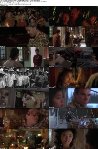 Heaven and Earth 1993 1080p BluRay H264 AAC-RARBG