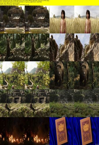 The Jungle Book 3D 2016 1080p BRRip Half-SBS x264 AAC-ETRG 