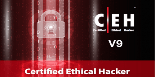 Certified Ethical Hacker (CEH) Version 9 Tool kit + PDF Slides