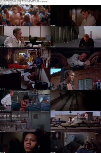 The Omega Man 1971 720p BluRay H264 AAC-RARBG