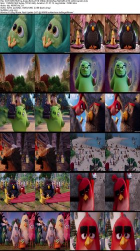 Angry Birds 2016 1080p 3D BluRay Half-SBS DTS x264-Ivandro