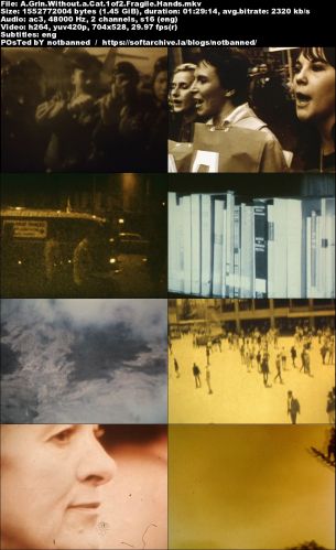ISKRA Films - A Grin Without a Cat (1993) DVDRip x264-MVGroup