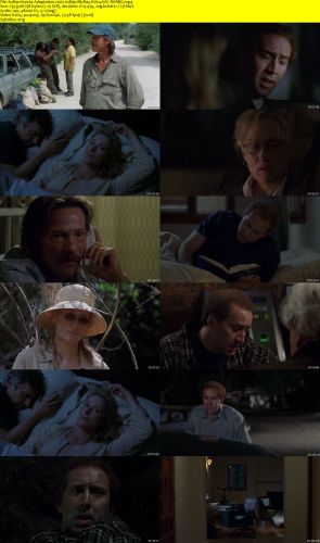 Adaptation 2002 1080p BluRay H264 AAC-RARBG