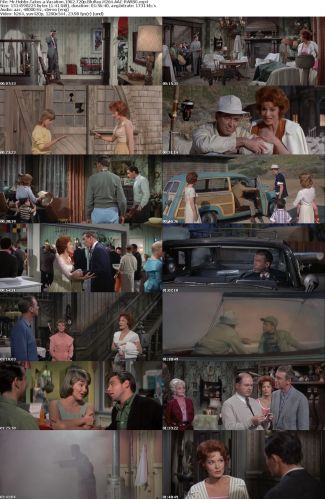 Mr Hobbs Takes a Vacation 1962 720p BluRay H264 AAC-RARBG