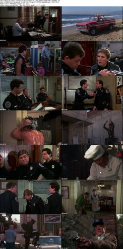 Police Academy 2 Their First Assignment 1985 BRRip XviD MP3-RARBG