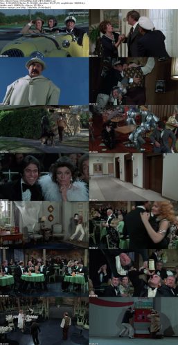 Silent Movie 1976 BRRip XviD MP3-RARBG
