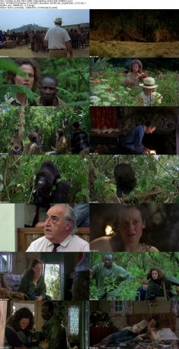 Gorillas in the Mist 1988 720p BluRay H264 AAC-RARBG