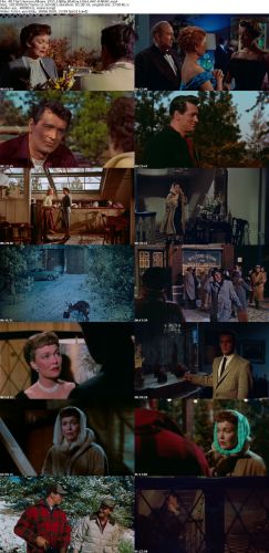 All That Heaven Allows 1955 1080p BluRay H264 AAC-RARBG