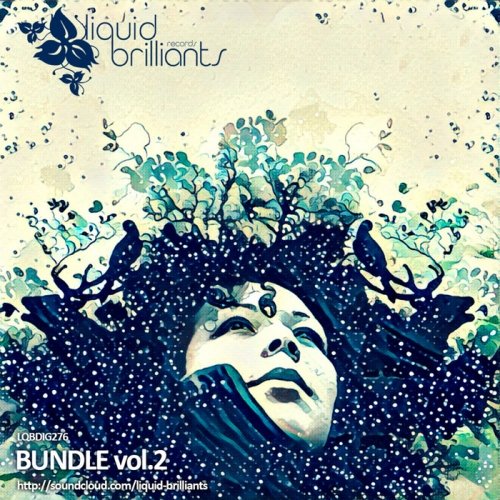 VA - Bundle Vol.2 (2016)