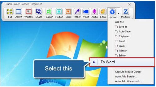 Zeallsoft Super Screen Capture v6.0 