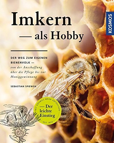 Imkern als Hobby: Der Weg zum eigenen Bienenvolk