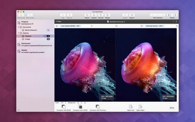 Cornerstone 3.0.2 (Mac OS X)