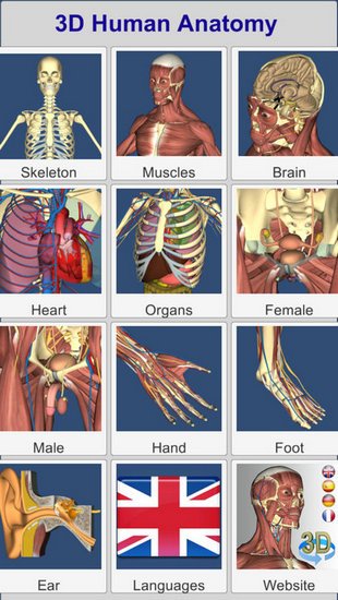 3D Anatomy v3.0