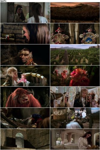Labyrinth (1986/DVDRip)