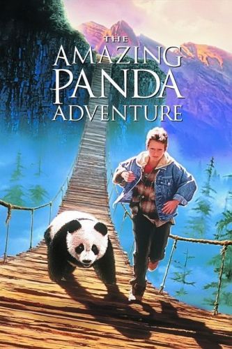 The Amazing Panda Adventure 1995 WEBRip x264-RARBG