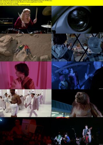 Bill and Teds Bogus Journey 1991 1080p BluRay H264 AAC-RARBG