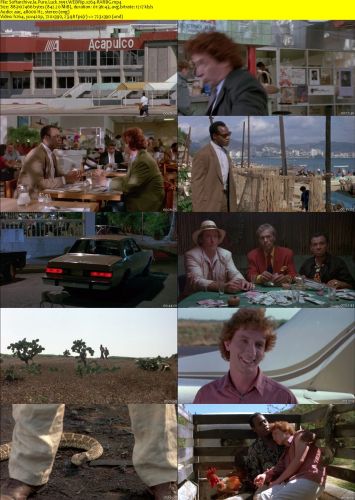 Pure Luck 1991 WEBRip x264-RARBG