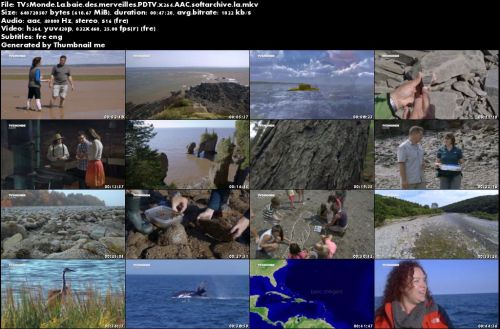 TV5Monde - La baie des merveilles (2015)