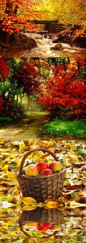 Autumn 20